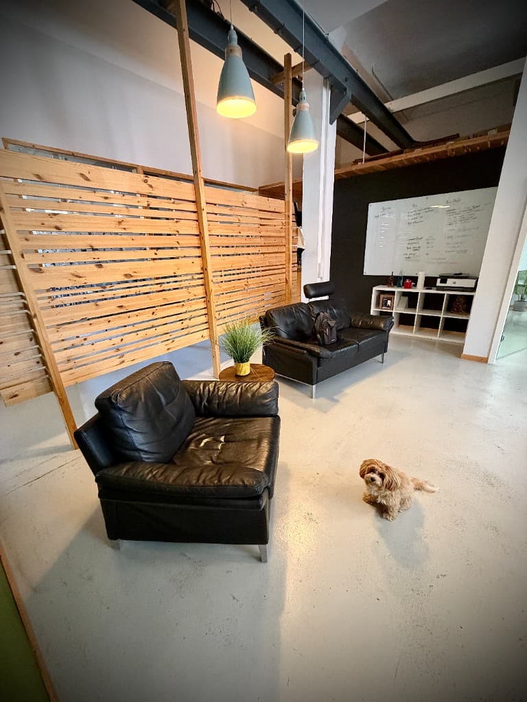 Unser Bürohund Goldi im modernen ProtocolHero Office in Köln-Ehrenfeld